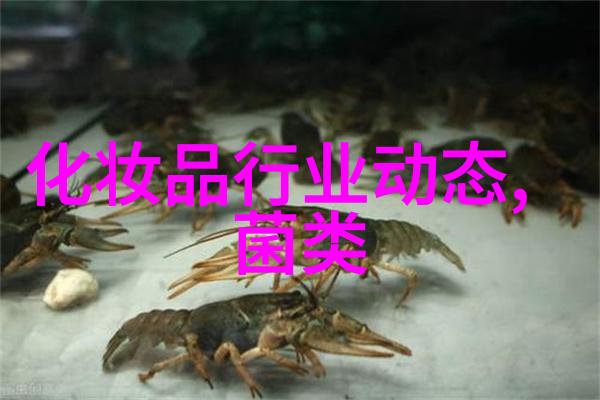 猪流感聚焦全世界目光